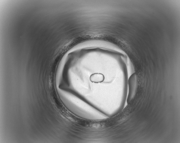 X0000066020740200603312048