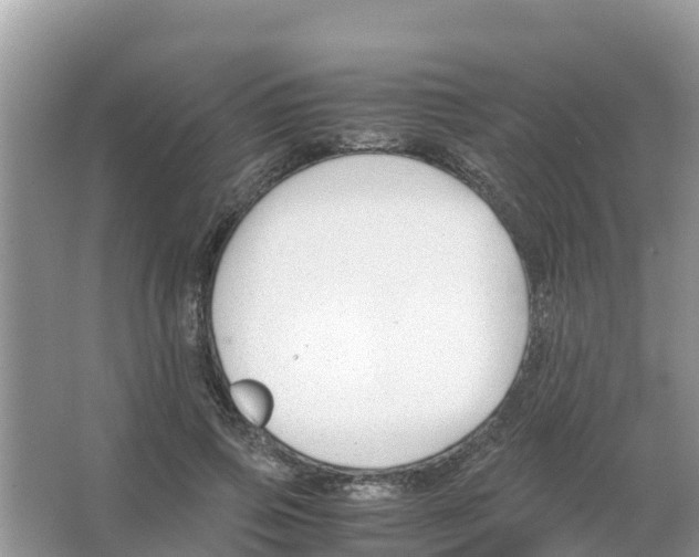 X0000066020741200603312048