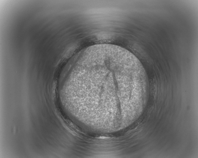 X0000066020742200603312048