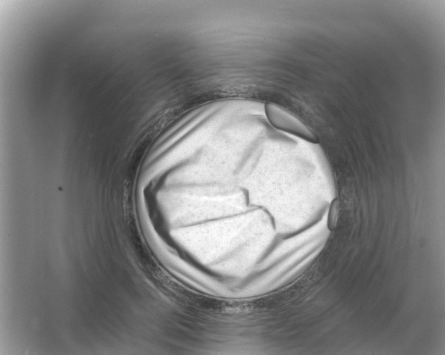 X0000066020744200603312048