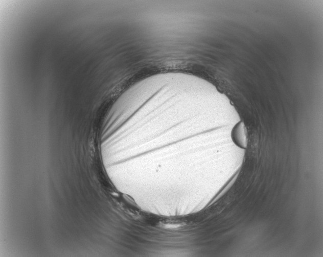 X0000066020746200603312048