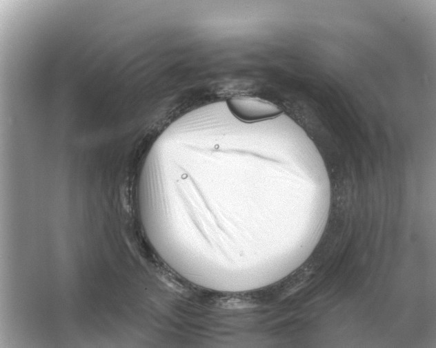 X0000066020755200603312049