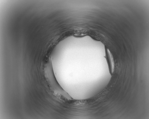 X0000066020756200603312049