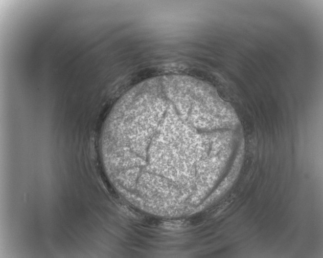 X0000066020757200603312049