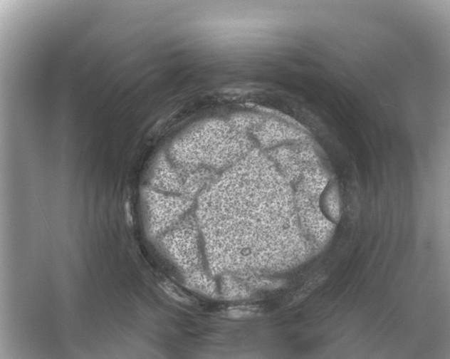 X0000066020758200603312049