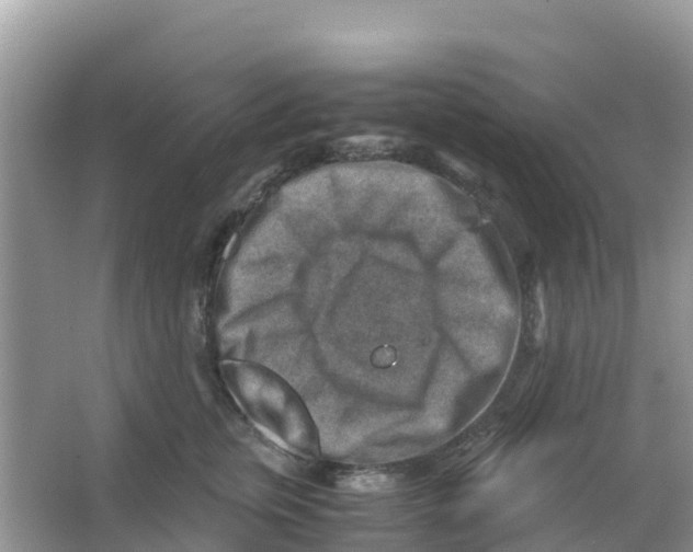 X0000066020759200603312049