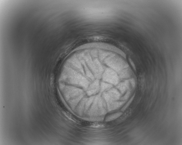 X0000066020760200603312049