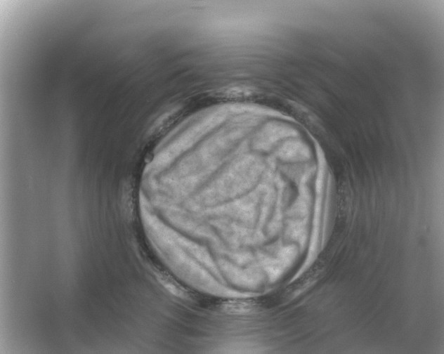 X0000066020762200603312049