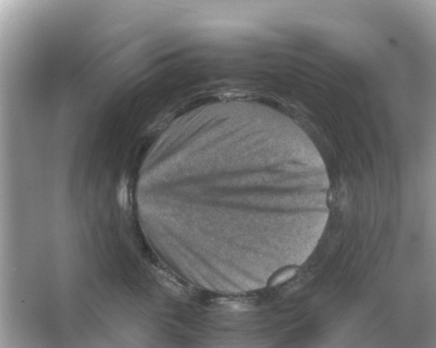 X0000066020763200603312049