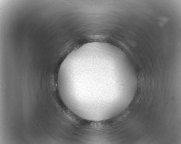 X0000066020764200603312049