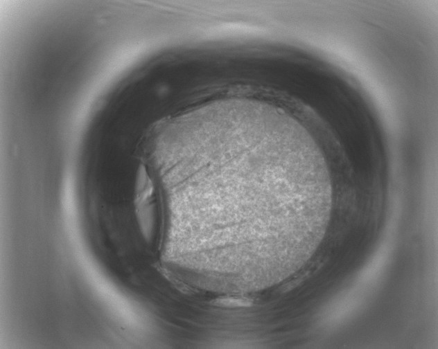 X0000066020765200603312049