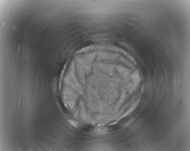 X0000066020767200603312049