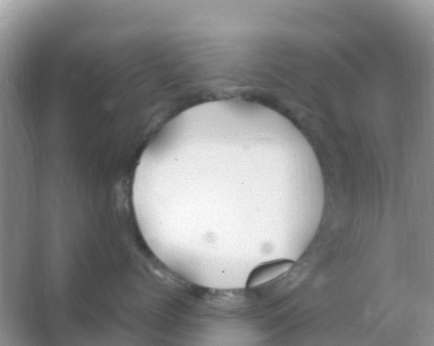 X0000066020768200603312049