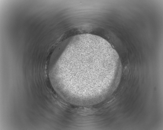 X0000066020772200603312048