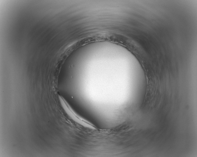 X0000066020773200603312048