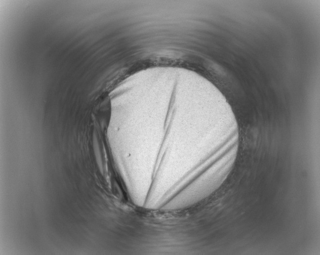 X0000066020774200603312048