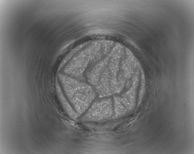 X0000066020775200603312048