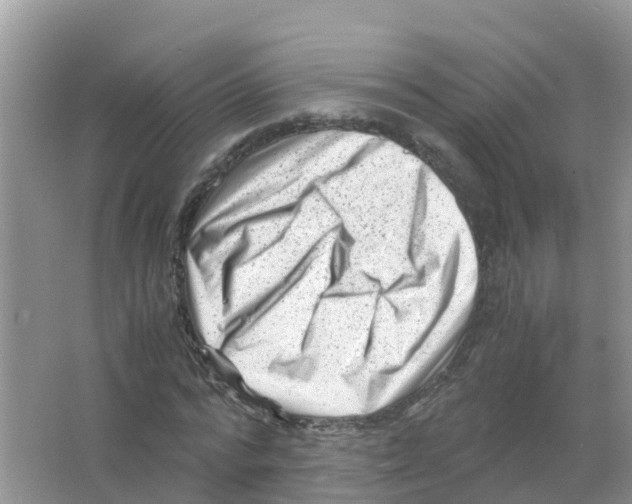 X0000066020776200603312048