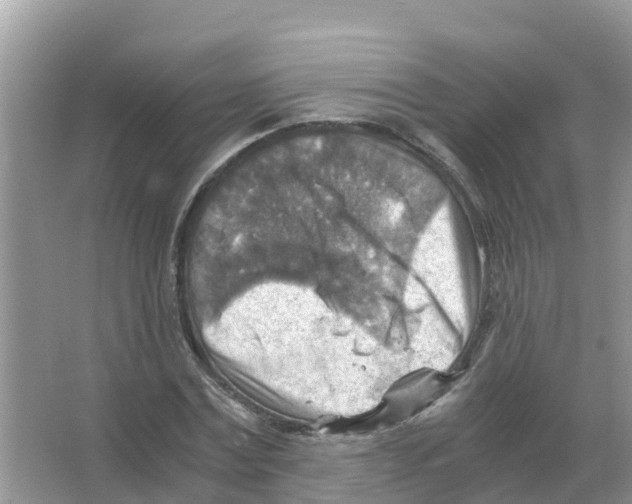 X0000066020779200603312048