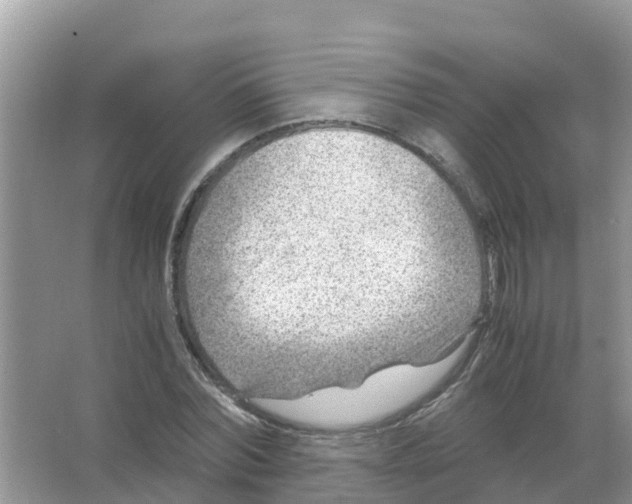 X0000066020780200603312048