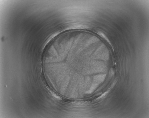 X0000066020781200603312048