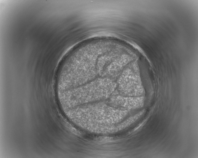 X0000066020783200603312048