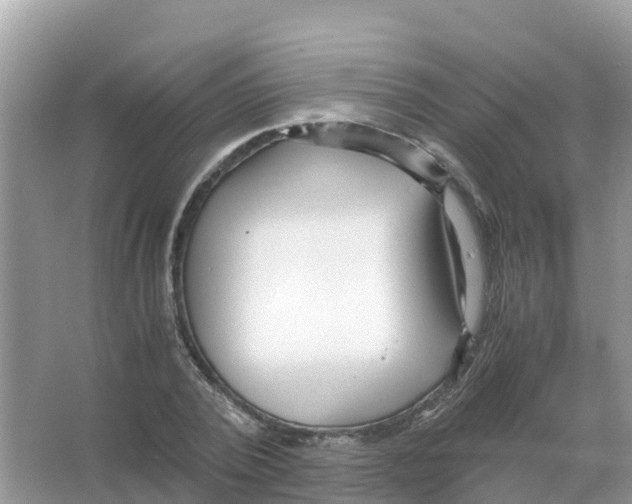 X0000066020784200603312048