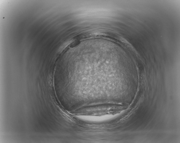 X0000066020785200603312048