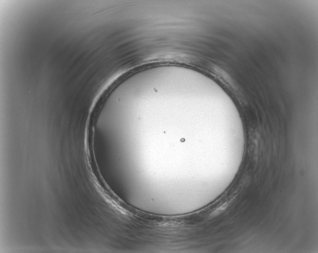 X0000066020788200603312048