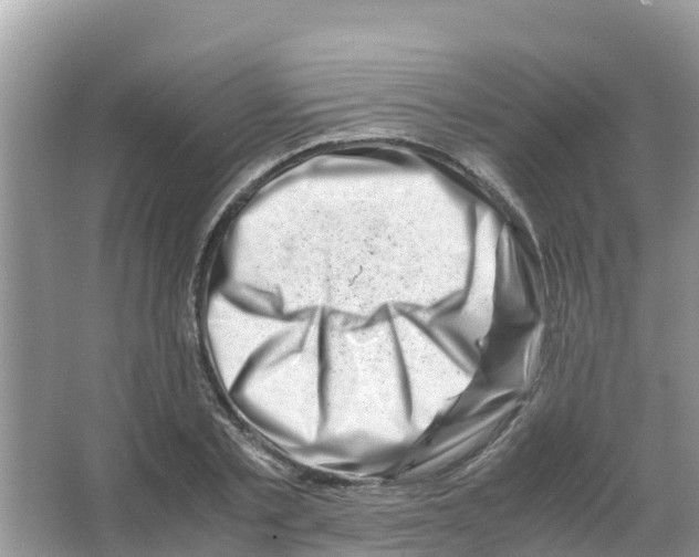 X0000066020789200603312048