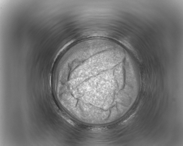 X0000066020790200603312048