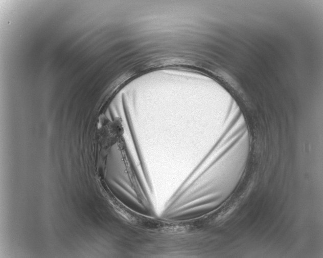 X0000066020793200603312048