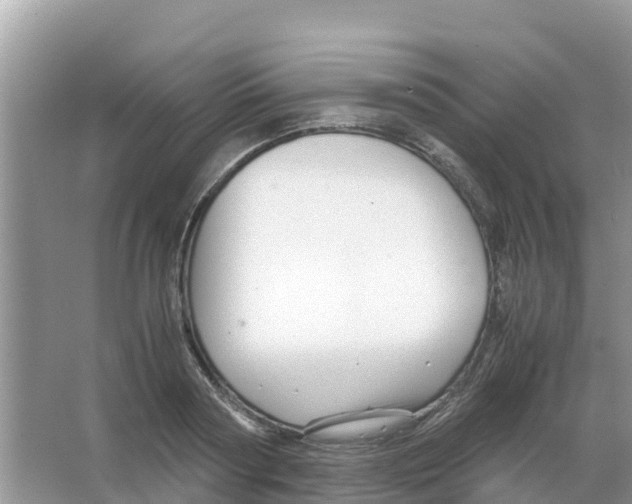 X0000066020794200603312047