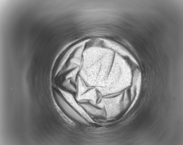 X0000066020795200603312047