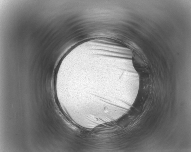 X0000066020796200603312047