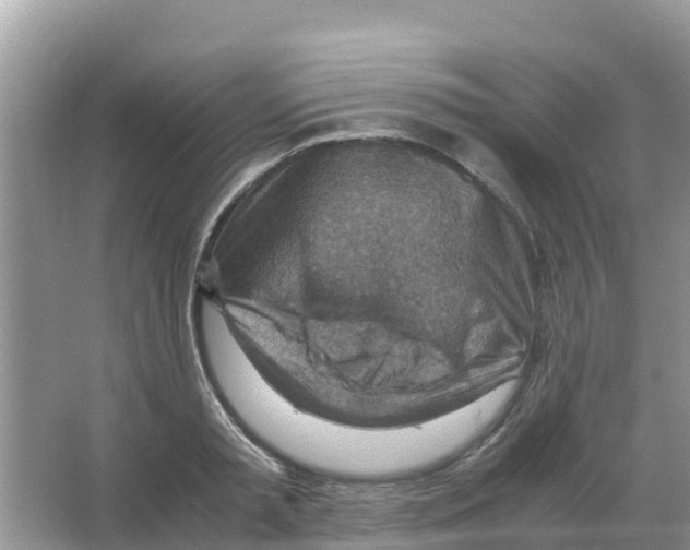 X0000066020797200603312047