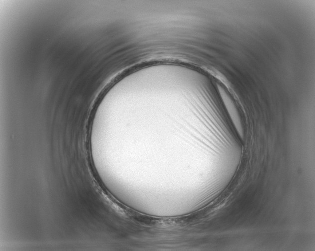 X0000066020799200603312047