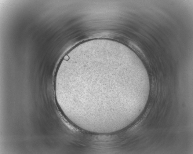 X0000066020800200603312047