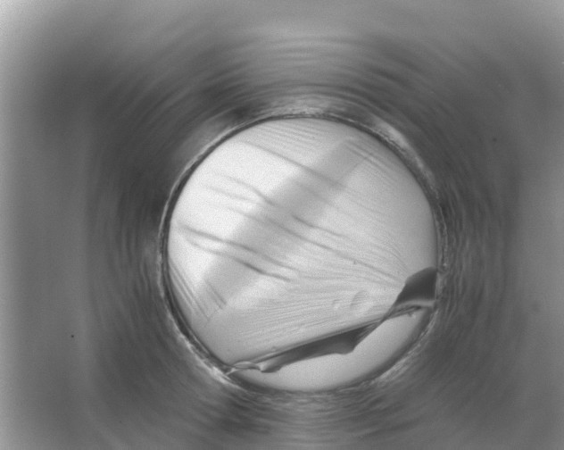 X0000066020802200603312047