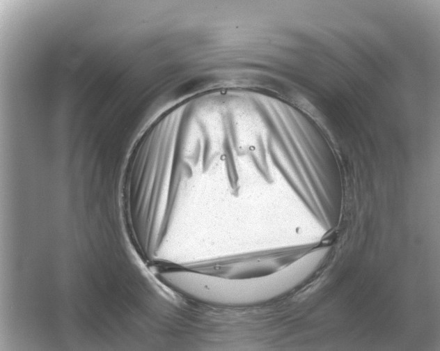 X0000066020803200603312047