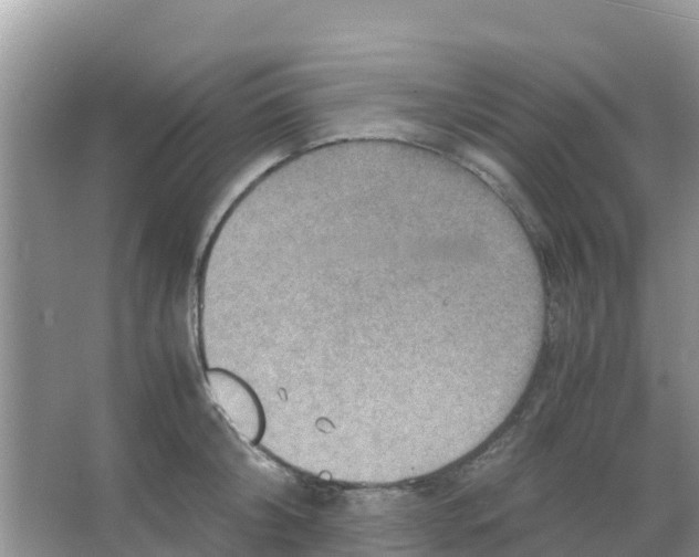 X0000066020804200603312047