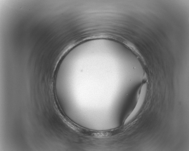 X0000066020805200603312047