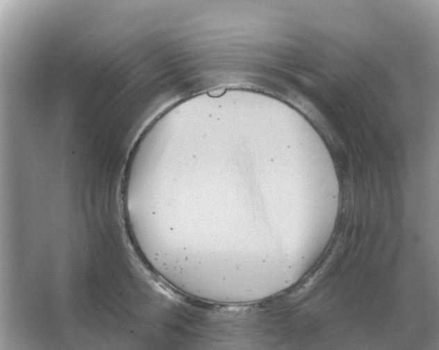 X0000066020806200603312047