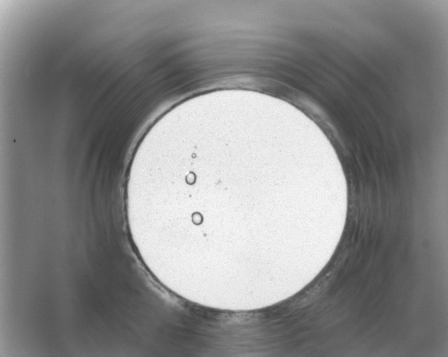 X0000066020808200603312047