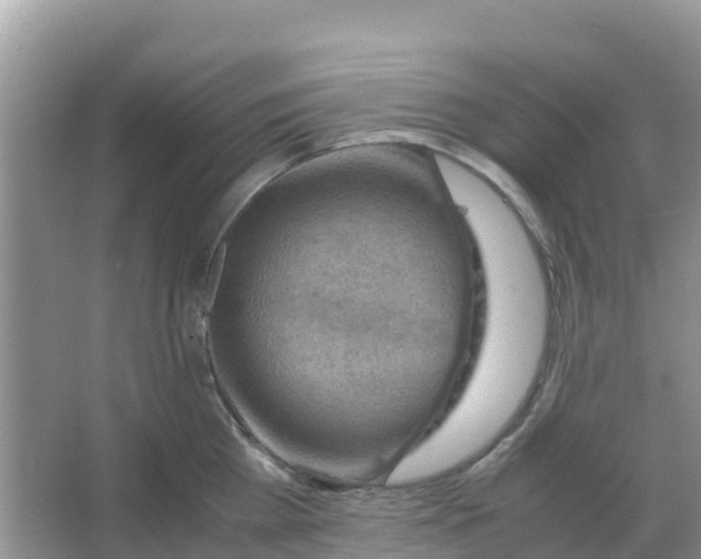 X0000066020809200603312047