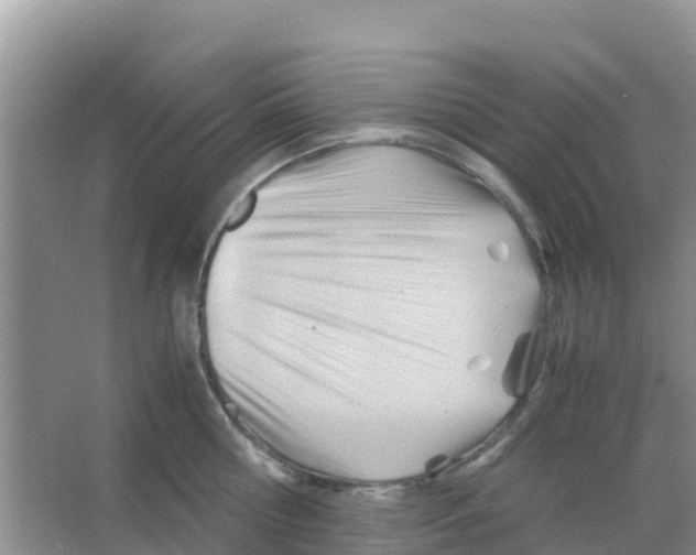 X0000066020810200603312047