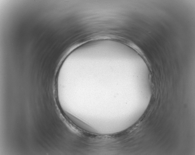 X0000066020811200603312047