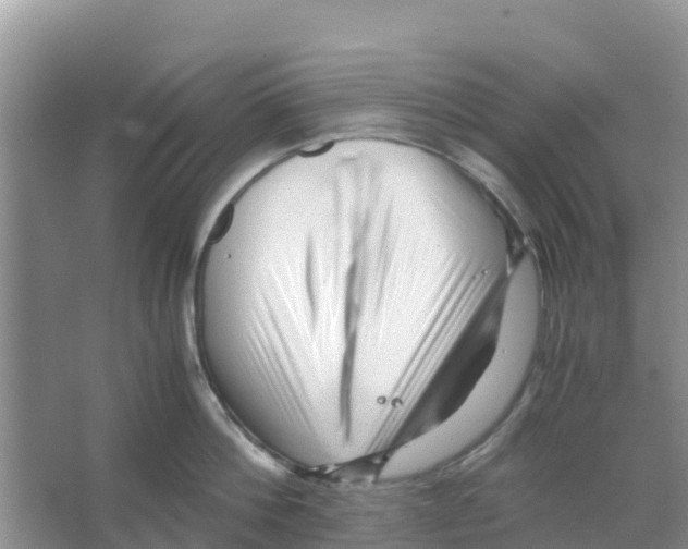 X0000066020812200603312047