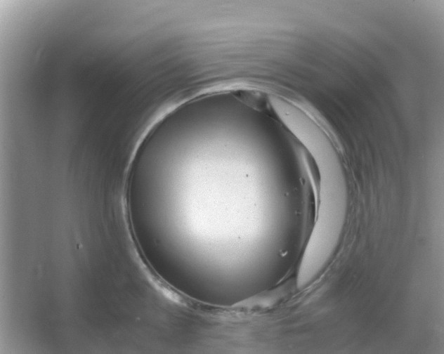 X0000066020813200603312047