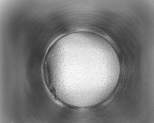 X0000066020814200603312047